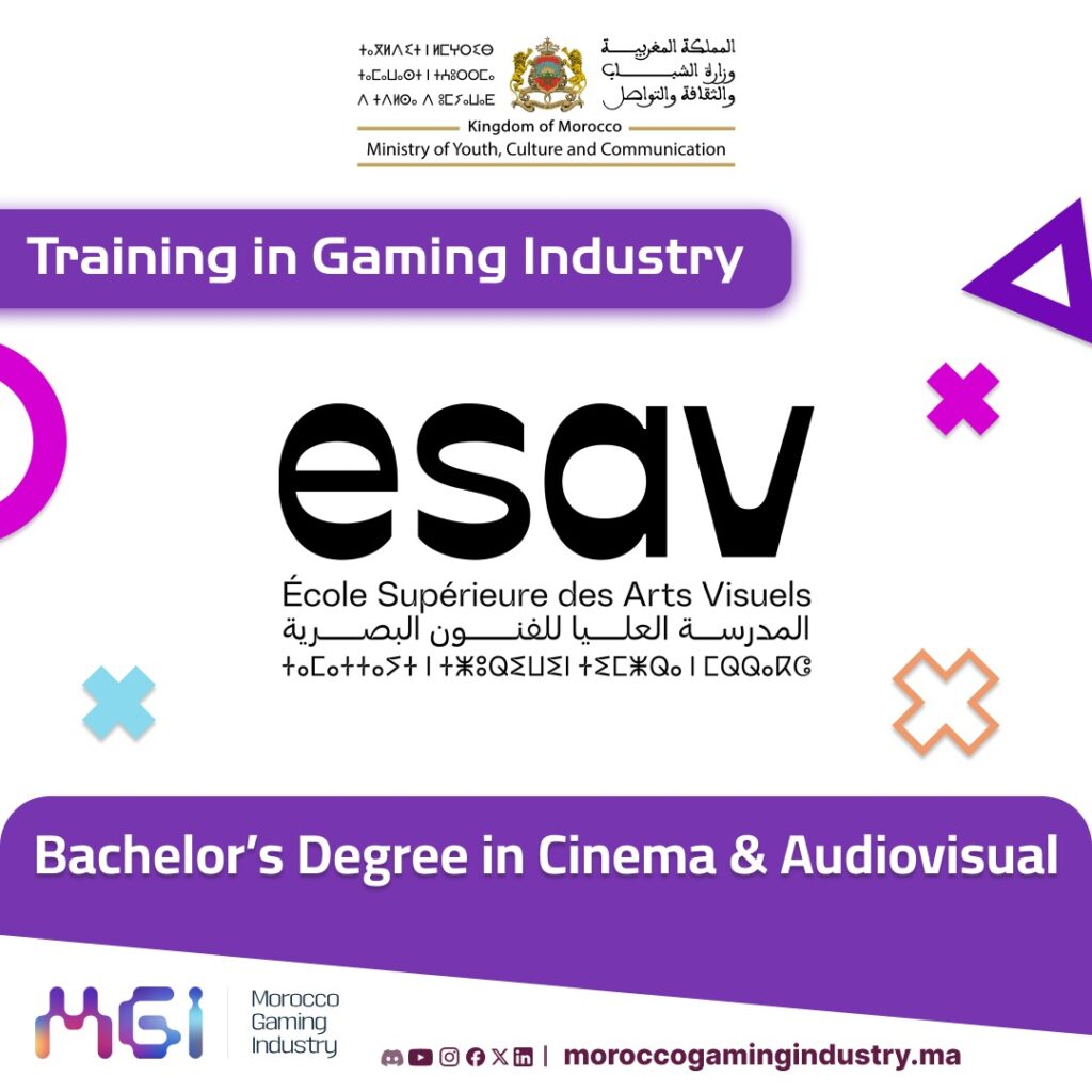 Cinema & Audiovisual